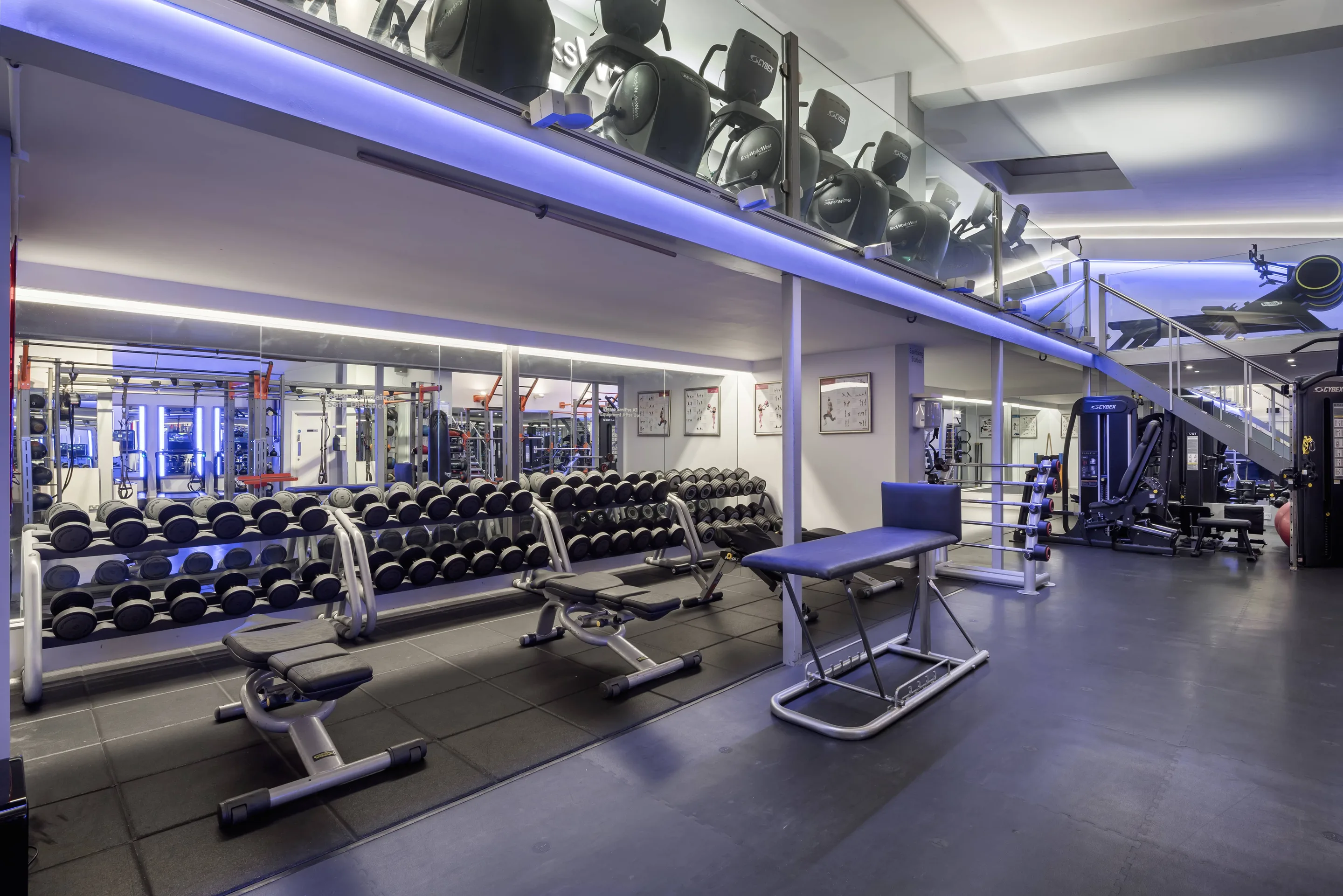 Two-storey gym floor with cardio machines and free weights at Body Works West